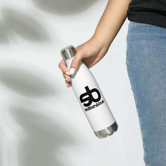 Stainless Steel Water Bottle